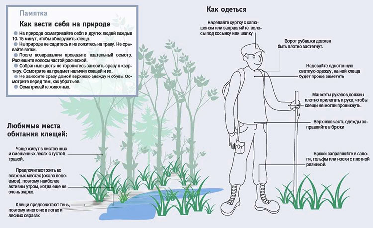 Меры предосторожности, защита от клещей