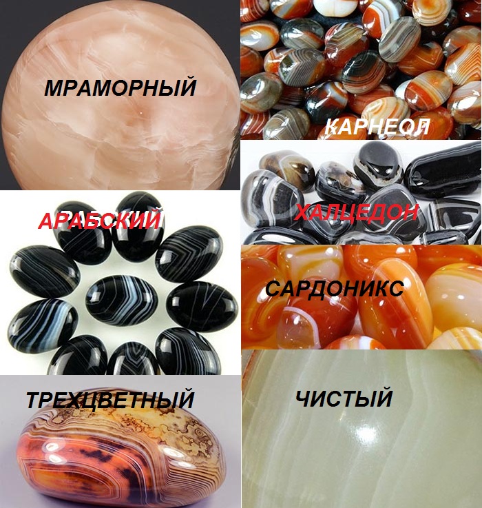 Разнообразие