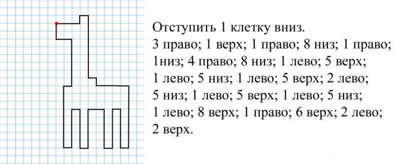 графический-диктатор-по-клеточкам-13.jpg