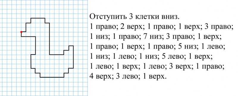 графический-диктатор-по-клеточкам-18.jpg