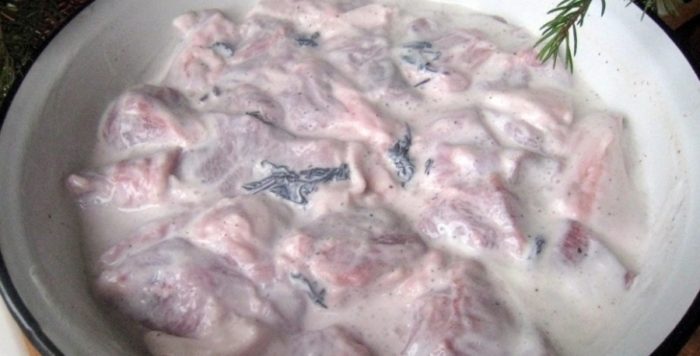 Маринады для шашлыка из индейки — лучшие рецепты